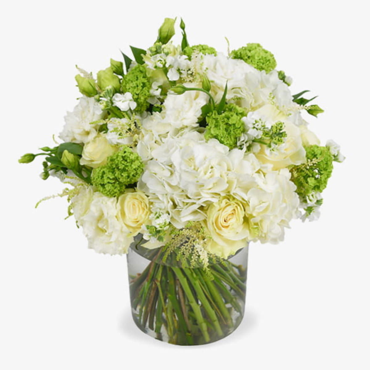 White and green bag luxury flower bouquet by Moyses Stevens UAE featuring premium Ecuadorian Mondial roses, hydrangeas, lisianthus, astils, phlox, and Guelda-roses
