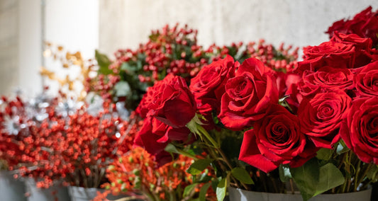 Valentine’s Day in Dubai: A Guide to Memorable Celebrations