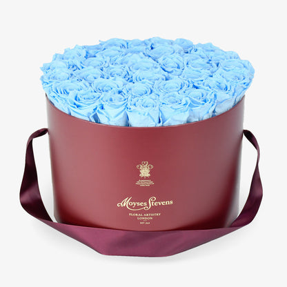 Preserved Blue Roses Hatbox
