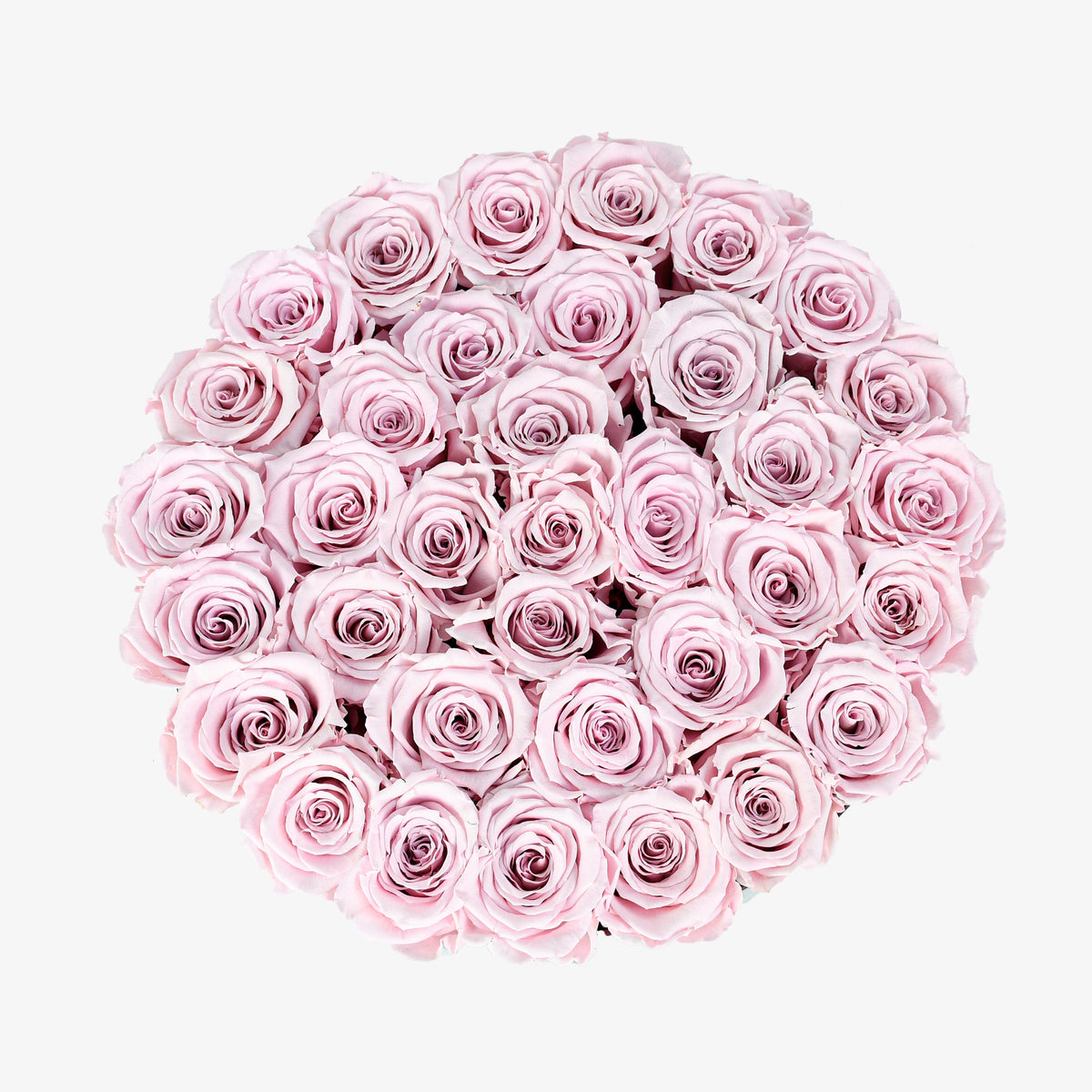 Preserved Pink Roses Hatbox