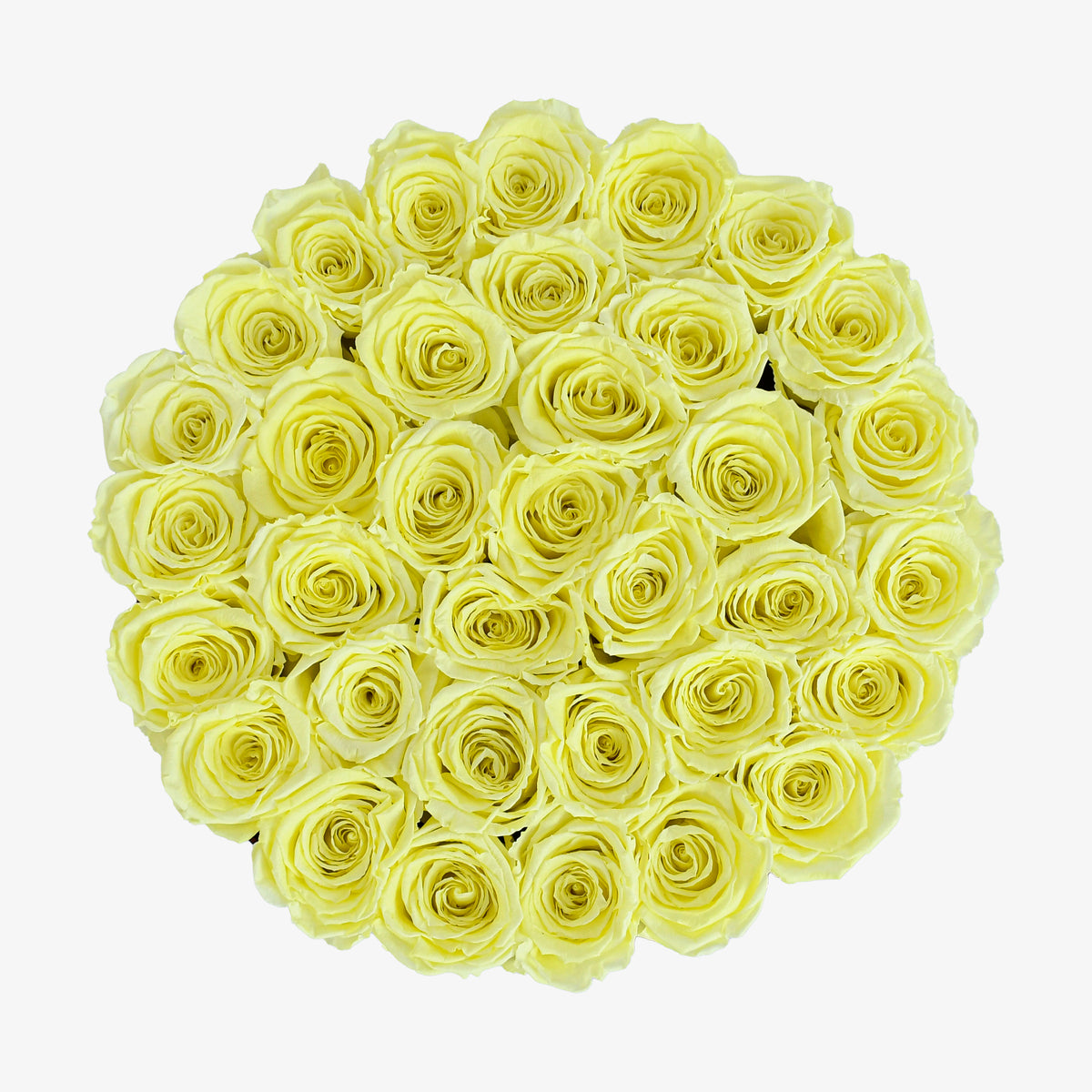 Preserved Yellow Roses Hatbox