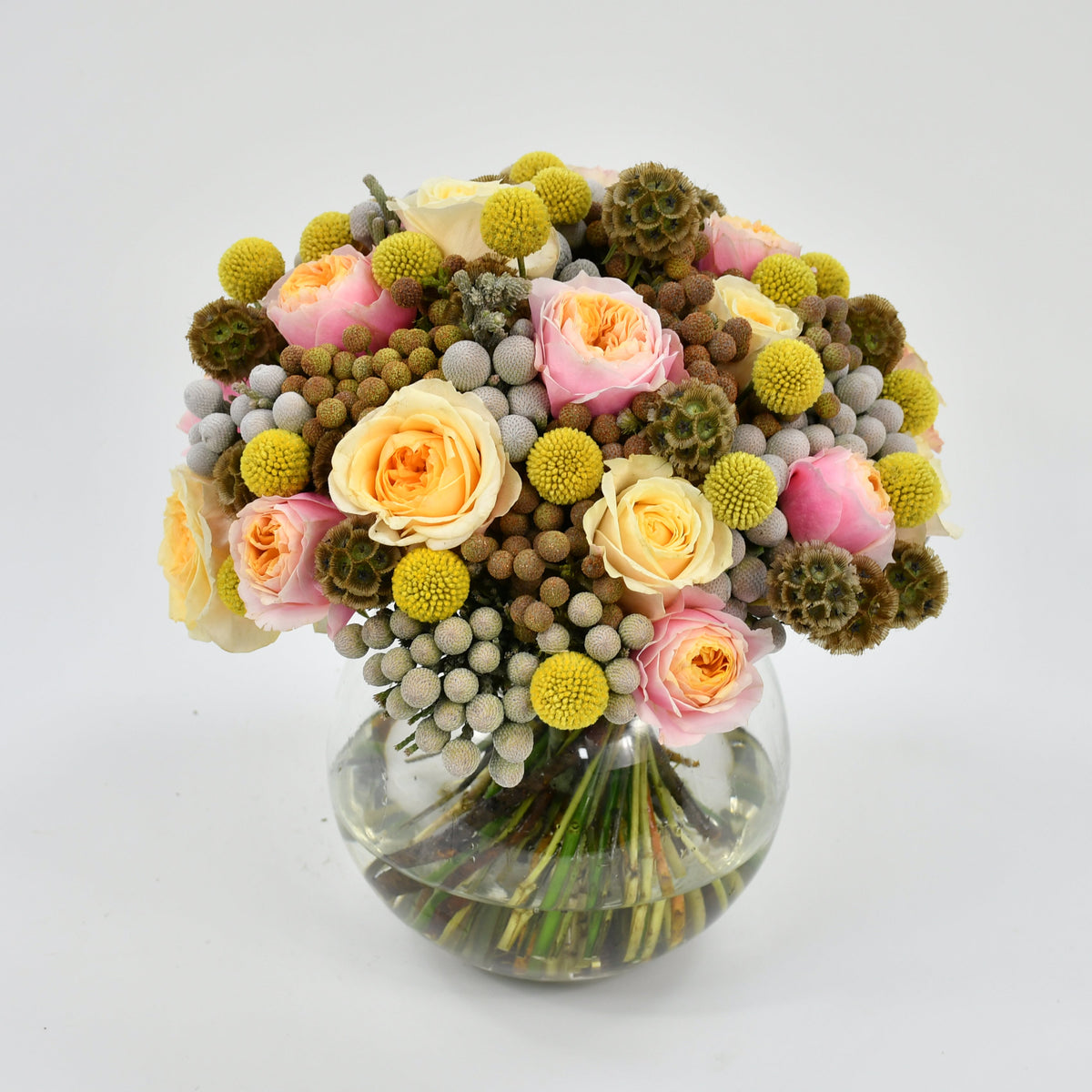 Moyses Stevens Brunia and Rose Christmas bouquet with garden roses and silver brunia