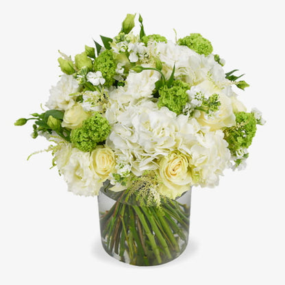 White and green bag luxury flower bouquet by Moyses Stevens UAE featuring  premium Ecuadorian Mondial roses, hydrangeas, lisianthus, astils, phlox, and Guelda-roses
