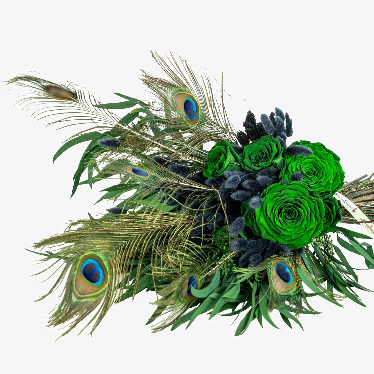 Peacock Dried Flower