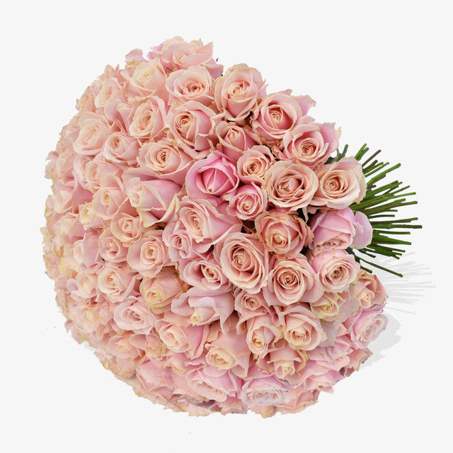 Flamingo luxury flower bouquet by Moyses Stevens UAE featuring a delightful bouquet of pink roses. 