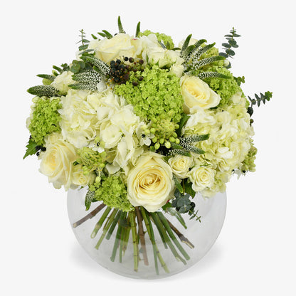 Graceful in White luxury flower bouquet by Moyses Stevens UAE featuring white hydrangeas, delicate spray roses and veronica with ornithogalum adding height and gentle movement to the arrangement. Finished with eucalyptus.