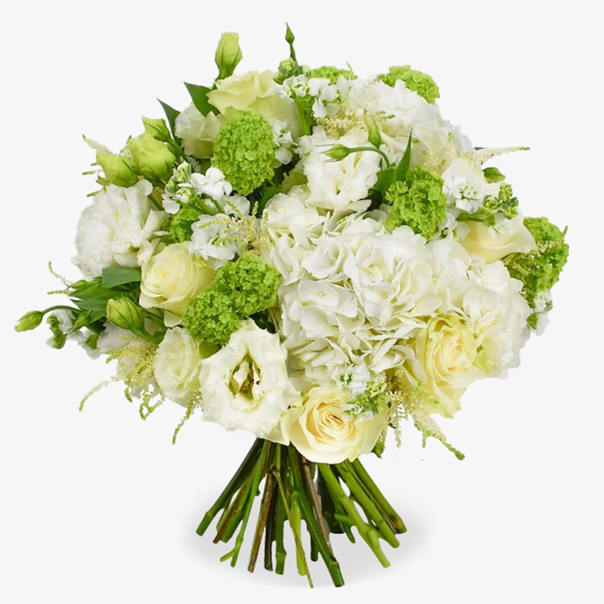 White and green bag luxury flower bouquet by Moyses Stevens UAE featuring  premium Ecuadorian Mondial roses, hydrangeas, lisianthus, astils, phlox, and Guelda-roses